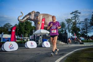 BIB: 
                            <button type="button" onclick="openModal(26541970)" class="btn btn-primary btn-sm float-right btn-popup" data-toggle="modal" data-target=".modal-high-quality">
                        <i class="fas fa-shopping-cart"></i> Add to Cart
                    </button>
                                            <button type="button" onclick="isThisMe(26541970, true)" class="btn btn-success btn-sm float-right btn-popup btn-isme hidden" data-toggle="tooltip" data-placement="bottom" title="นี่คือรูปของคุณใช่ไหม คลิกที่นี่เพื่อเอาเข้าอัลบั้ม">
                        <i class="fas fa-plus"></i> Add to album
                    </button>
                    <button type="button" onclick="isThisMe(26541970, false)" class="btn btn-warning btn-sm float-right btn-popup btn-isnotme hidden">
                        <i class="fas fa-ban"></i> Remove from album
                    </button>